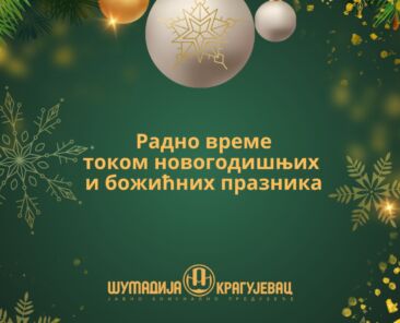 radno vreme 2026