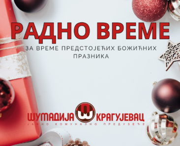 РАДНО ВРЕМЕ
