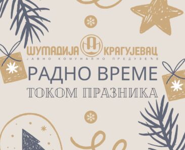 radno vreme tokom praznika